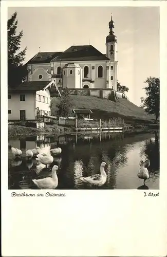Breitbrunn Chiemsee Kirche Enten Kat. Breitbrunn a.Chiemsee