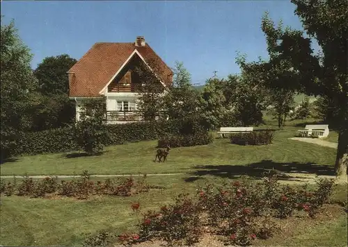 Kappel Lenzkirch Pension Fernblick Reh Kat. Lenzkirch