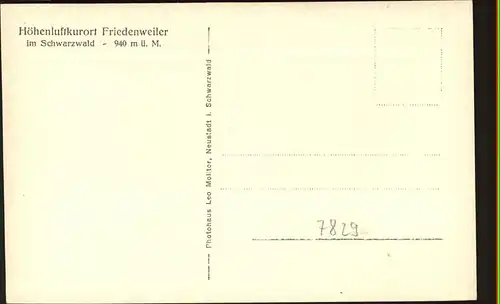 Friedenweiler Blick vom Waldrand Schloss Kinderheilstaette Hoehenluftkurort Kat. Friedenweiler