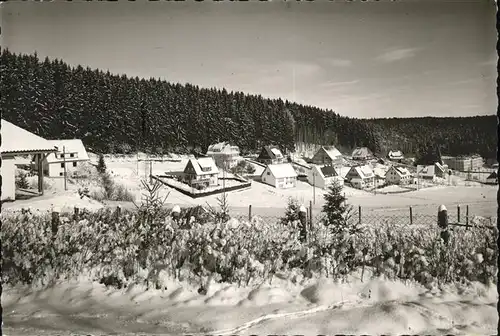 Friedenweiler Teilansicht Hoehenluftkurort Wintersportplatz  Kat. Friedenweiler