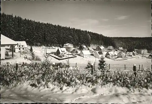 Friedenweiler Teilansicht Hoehenluftkurort Wintersportplatz  Kat. Friedenweiler