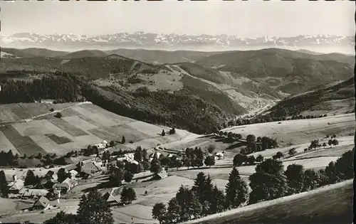 Todtnauberg Schwarzwald Blick ins Wiesental Alpenpanorama Kat. Todtnau