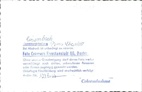 Eisenbach Schwarzwald Pension Charlott Restaurant Kat. Eisenbach (Hochschwarzwald)