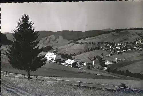 Todtnauberg Schwarzwald  Kat. Todtnau