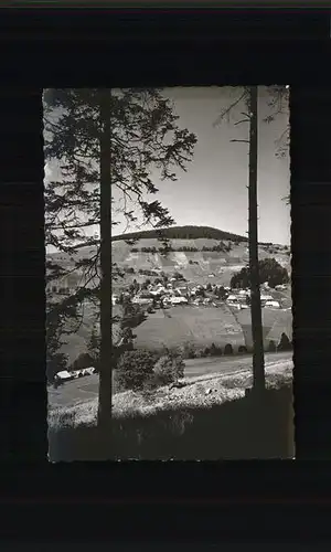 Todtnauberg Schwarzwald  Kat. Todtnau