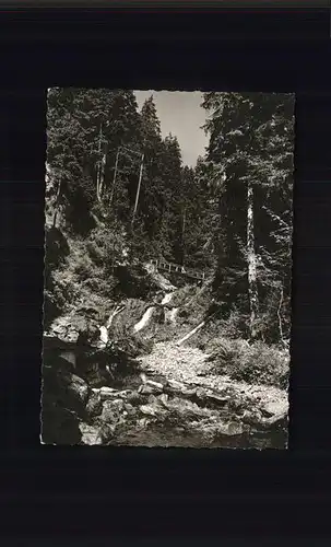 Roetenbach Baden Wasserfall Kat. Friedenweiler