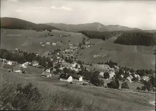 Todtnauberg Schwarzwald Panorama Kat. Todtnau