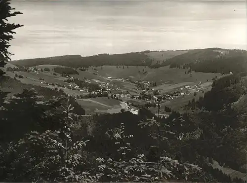 Todtnauberg Schwarzwald Panorama Kat. Todtnau