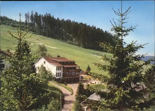 Todtnauberg Schwarzwald Berghotel Ruebezahl  Kat. Todtnau
