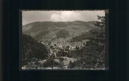 Todtnau Schwarzwald Reproduktionsvorschrift Kat. Todtnau