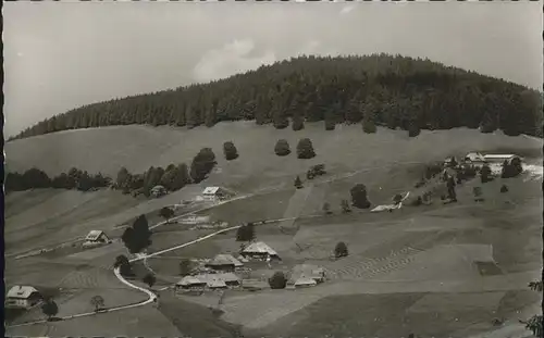 Todtnauberg Schwarzwald  Kat. Todtnau