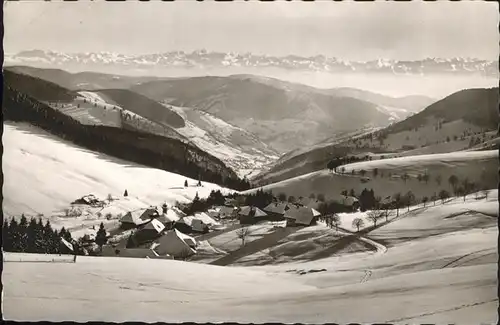 Todtnauberg Schwarzwald Blick ins Wiesental im Schnee Alpenpanorama Kat. Todtnau