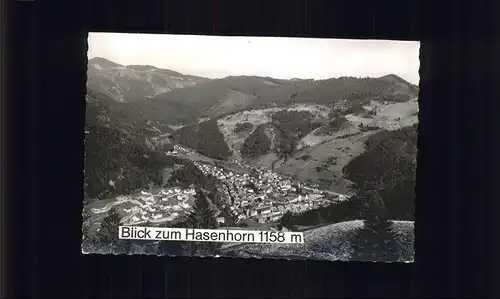 Todtnau Schwarzwald Panorama Hasenhorn Kat. Todtnau