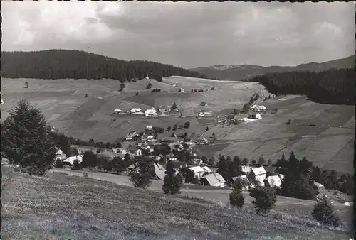 Todtnauberg Schwarzwald Panorama Kat. Todtnau