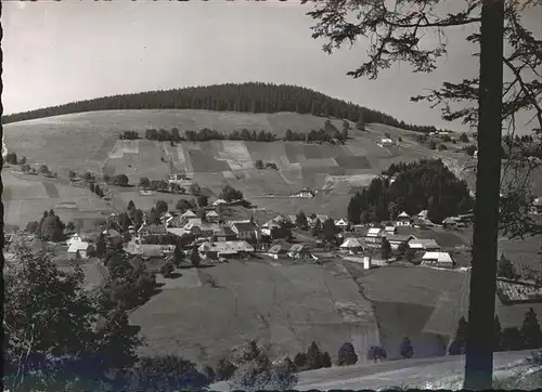 Todtnauberg Schwarzwald Panorama Kat. Todtnau