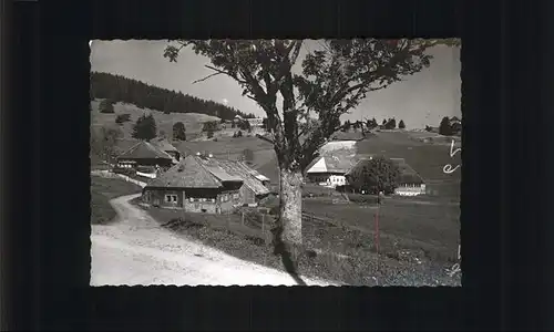 Todtnauberg Schwarzwald Haeuser Kat. Todtnau