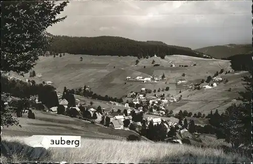 Todtnauberg Schwarzwald Panorama Kat. Todtnau