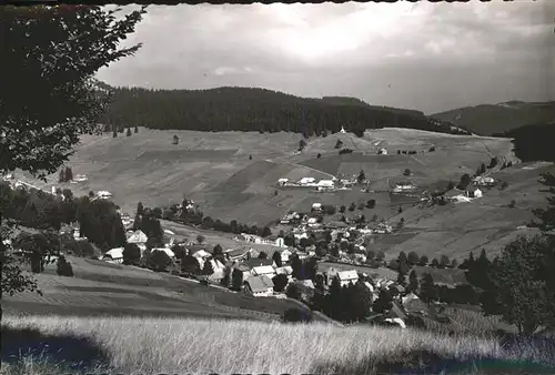 Todtnauberg Schwarzwald Panorama Kat. Todtnau