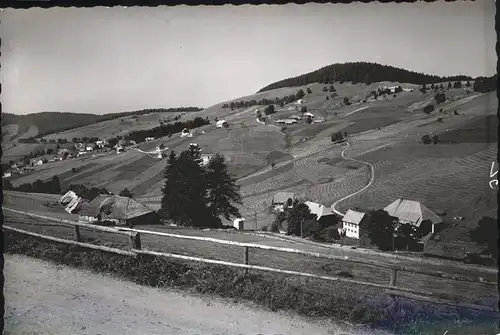 Todtnauberg Schwarzwald Panorama Kat. Todtnau