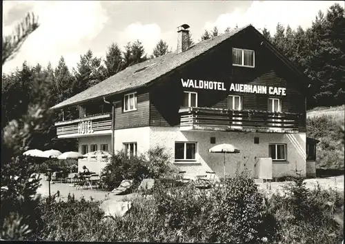 Bubenbach Waldhotel Auerhahn Wilh. Hartmann Kat. Eisenbach (Hochschwarzwald)