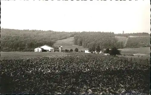 dd11435 Eisenbach Limburg Pension Hubertushof Kategorie. Selters (Taunus) Alte Ansichtskarten