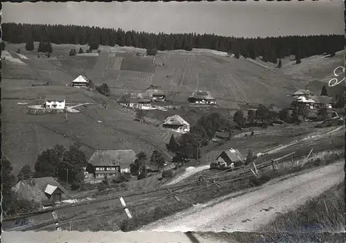 Todtnauberg Schwarzwald Haeuser Weinreben Kat. Todtnau