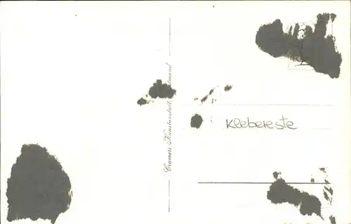 aw05825 Wernigerode Harz Klint Kategorie. Wernigerode Alte Ansichtskarten