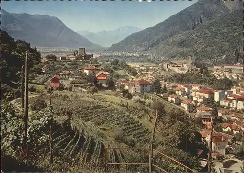 Bellinzona Panorama Kat. Bellinzona