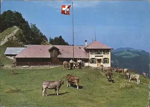 Libingen Berggasthaus Kreuz Viehweide Kuh Kat. Libingen