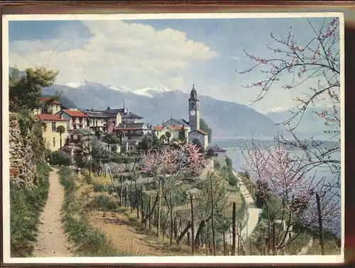 Ronco TI Ortsansicht mit Kirche Lago Maggiore im Fruehling / Ronco /Bz. Locarno