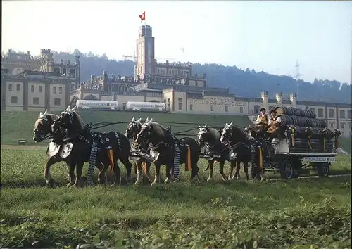 Rheinfelden AG Brauerei Feldschloesschen Sechsspaenner Kat. Rheinfelden