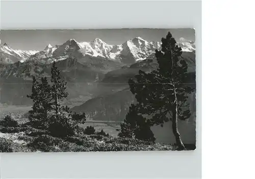 Beatenberg am Niederhorn Blick zum Finsteraarhorn Eiger Moench Jungfrau Berner Alpen Kat. Beatenberg