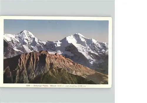 Schynige Platte Panorama mit Moench und Jungfrau Berner Alpen Kat. Schynige Platte
