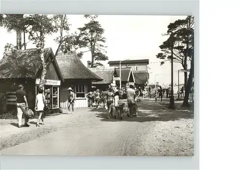 Prerow Ostseebad Weg zum Strand / Darss /Nordvorpommern LKR