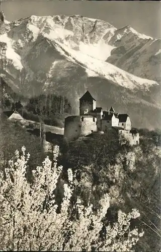 Vaduz Schloss Vaduz mit Falknis Kat. Vaduz