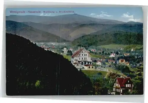 we46514 Wernigerode Harz Waldburg Brockenblick * Kategorie. Wernigerode Alte Ansichtskarten