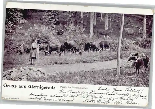we46538 Wernigerode Harz Schmalenthal x Kategorie. Wernigerode Alte Ansichtskarten
