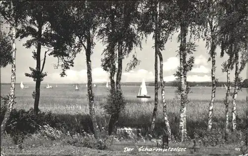 Scharmuetzelsee Segelschiffe Panorama Kat. Bad Saarow