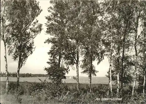 Scharmuetzelsee Panorama Kat. Bad Saarow