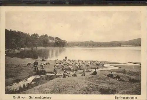 Scharmuetzelsee Springseequelle Schaefer mit Schafherde Kat. Bad Saarow