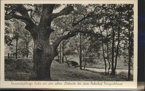 Gruenheide Mark Tausendjaehrige Eiche Bahnhof Fangschleuse Kat. Gruenheide Mark