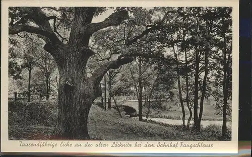 Gruenheide Mark Tausendjaehrige Eiche Bahnhof Fangschleuse Kat. Gruenheide Mark