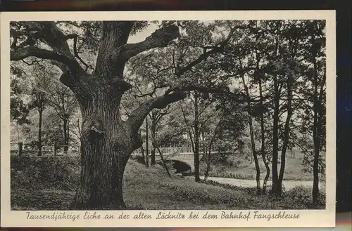 Gruenheide Mark Tausendjaehrige Eiche Bahnhof Fangschleuse Kat. Gruenheide Mark