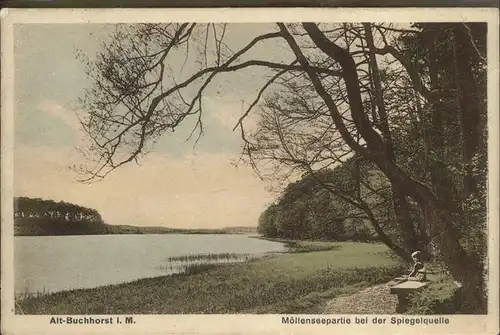 Alt Buchhorst Moellenseepartie Spiegelquelle Kat. Gruenheide Mark