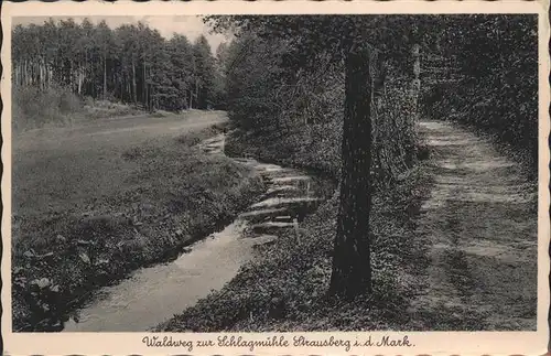 Strausberg Brandenburg Waldweg zur Schlagmuehle Kat. Strausberg