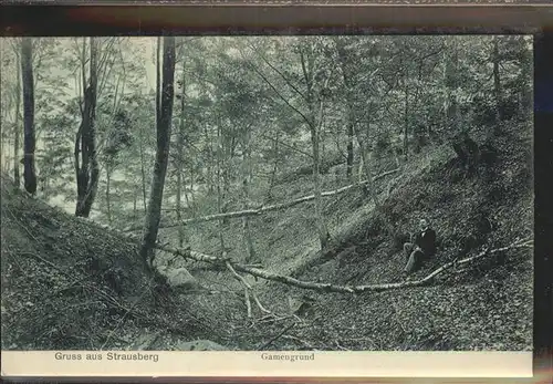 Strausberg Brandenburg Gamengrund Kat. Strausberg