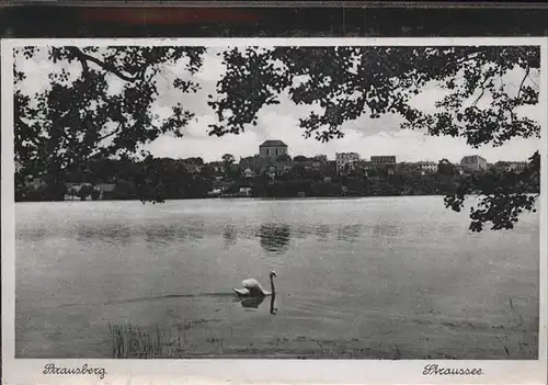 Strausberg Brandenburg Straussee Schwan Kat. Strausberg