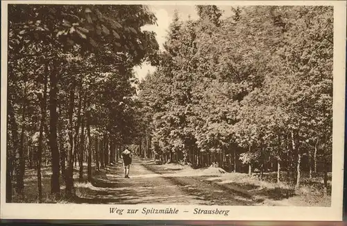 Strausberg Brandenburg Weg zur Spitzmuehle Kat. Strausberg