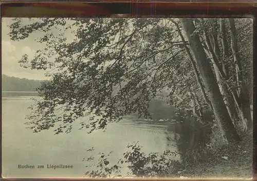 Buchen Odenwald Liepnitzsee / Buchen (Odenwald) /Neckar-Odenwald-Kreis LKR