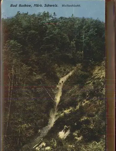 Buckow Maerkische Schweiz Wolfsschlucht Kat. Buckow Maerkische Schweiz